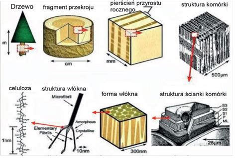  Cellulose - Rewolucyjny Materiał w Budownictwie i Opakowaniu?!